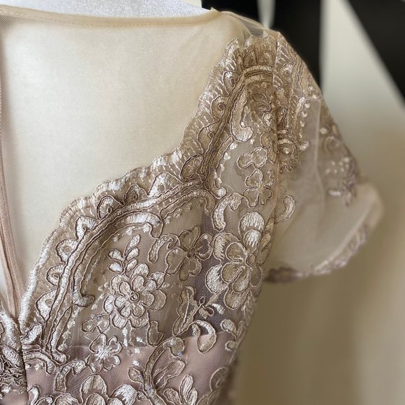 JS Collections Nude Floral Overlay Dress - Picture 6 of 6